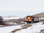 BNSF 3831